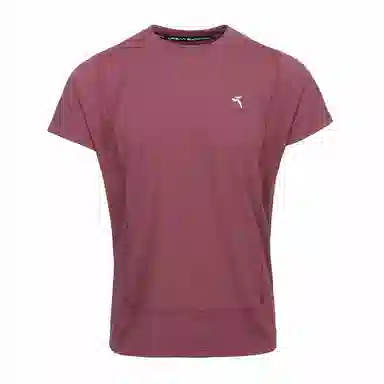 Tittallon T