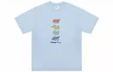 PCMY T
