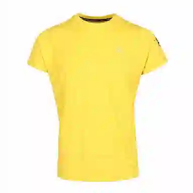 Tittallon T