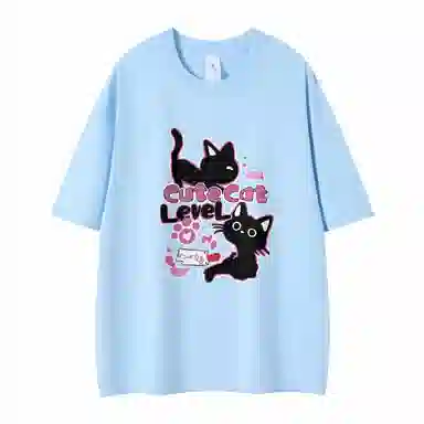 LEVEL T