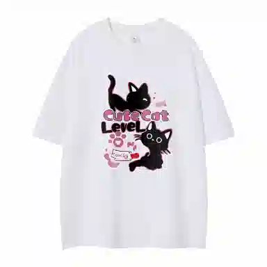 LEVEL T
