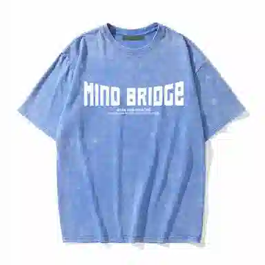 MindBridge T