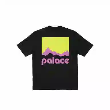PALACE x Berghaus FW24 T