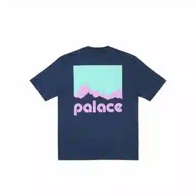PALACE x Berghaus FW24 T