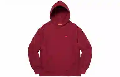 Supreme Small Box Hooded Sweatshirt