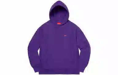 Supreme Small Box Hooded Sweatshirt