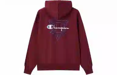 Champion Hoodie