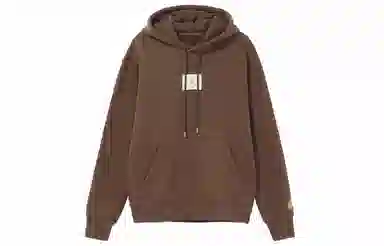 Jordan Hoodie Brown