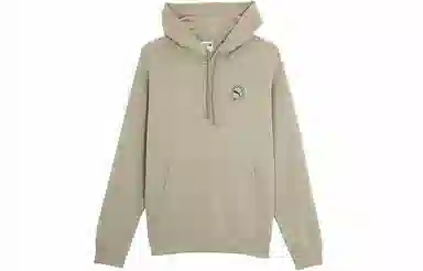 PUMA Hoodie Grey