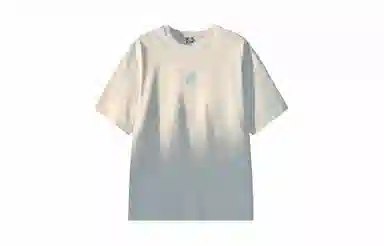 MANYSTON T