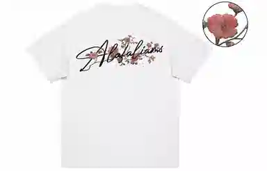 FALIAMS T