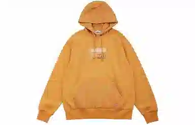 Dickies Logo Hoodie Orange