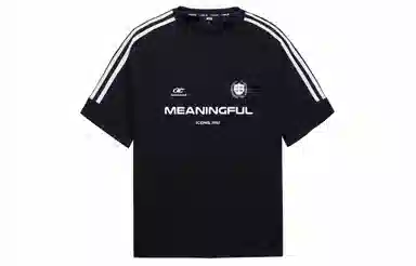 ICONS Lab T
