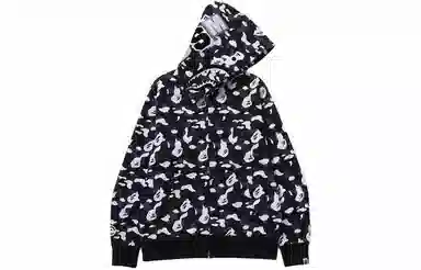 A BATHING APE x DSM SS24