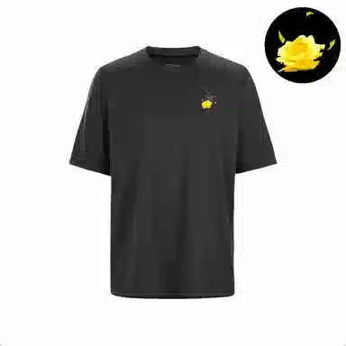 Arcteryx LogoT -black