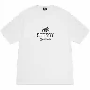 Stussy FW24 SPORTSWEAR TEE logoT