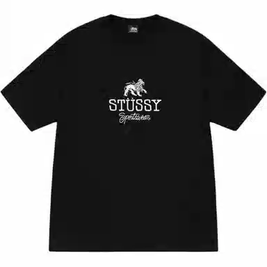 Stussy FW24 SPORTSWEAR TEE logoT
