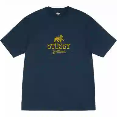 Stussy FW24 SPORTSWEAR TEE logoT