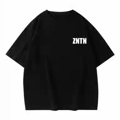 ZNTN logoT