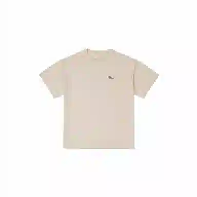 Converse T