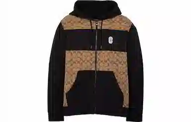 Coach Colorblock Logo Drawstring Hoodie Khaki