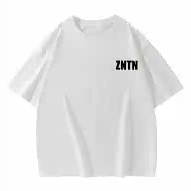 ZNTN logoT