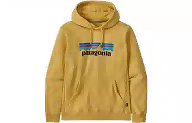 Patagonia Logo Hoodie
