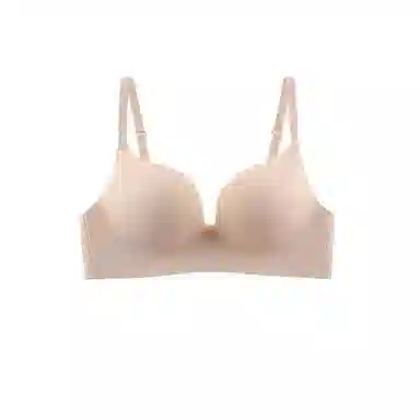 黛尔佳人 小胸聚拢显大舒适无钢圈收副乳防下垂软支撑文胸 女款