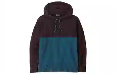 patagonia Recycled Wool-Blend Sweater Hoody