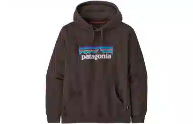 Patagonia Logo Hoodie