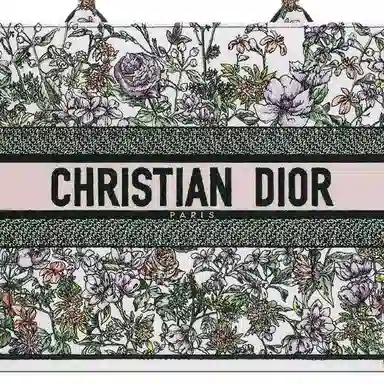 DIOR BookTote Tote