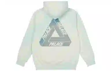 PALACE SS23 Reacto Tri-ferg Hood Green Logo