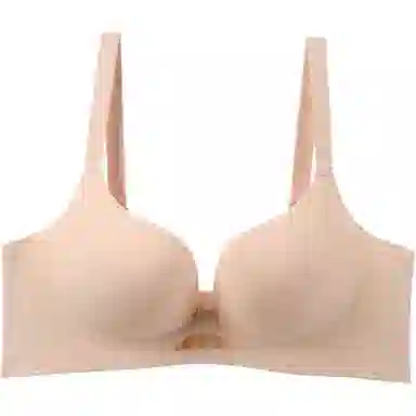 黛尔佳人 小胸聚拢显大上托防下垂文胸 女款