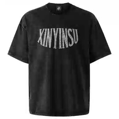 XINYINSU T