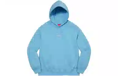 Supreme World Famous Micro Hooded Sweatshirt