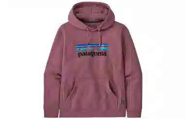 Patagonia Logo Hoodie