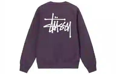 Stussy Basic Crew