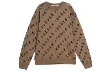 Jordan Logo Hoodie Brown