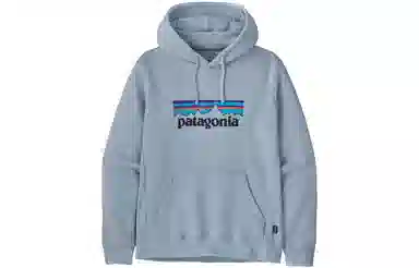 Patagonia Logo Hoodie