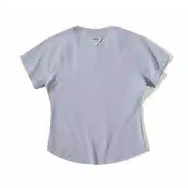 UPF100 T