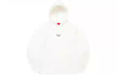 Supreme World Famous Micro Hooded Sweatshirt