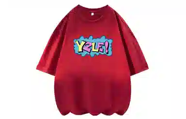 YZ logoT