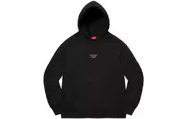 Supreme World Famous Micro Hooded Sweatshirt