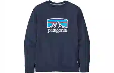 patagonia Fitz Roy Horizons Uprisal Crew