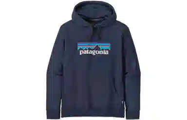 Patagonia Logo Hoodie