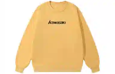 Kawasaki Logo