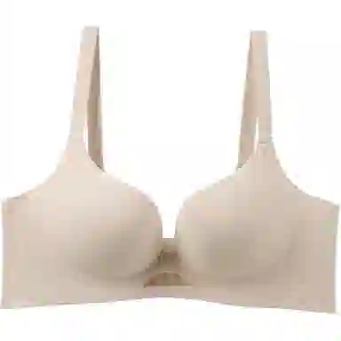 黛尔佳人 小胸聚拢显大上托防下垂文胸 女款