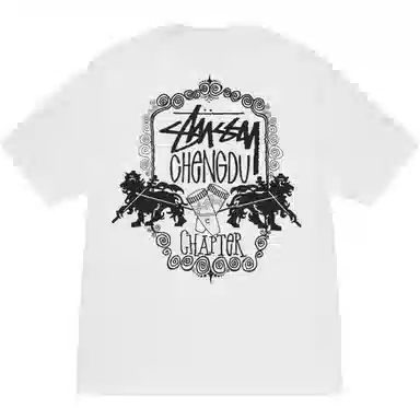 Stussy FW24 T