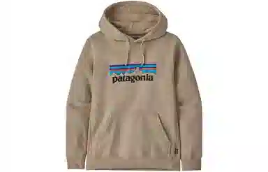 Patagonia Logo Hoodie