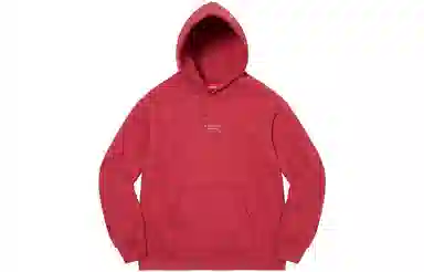 Supreme World Famous Micro Hooded Sweatshirt